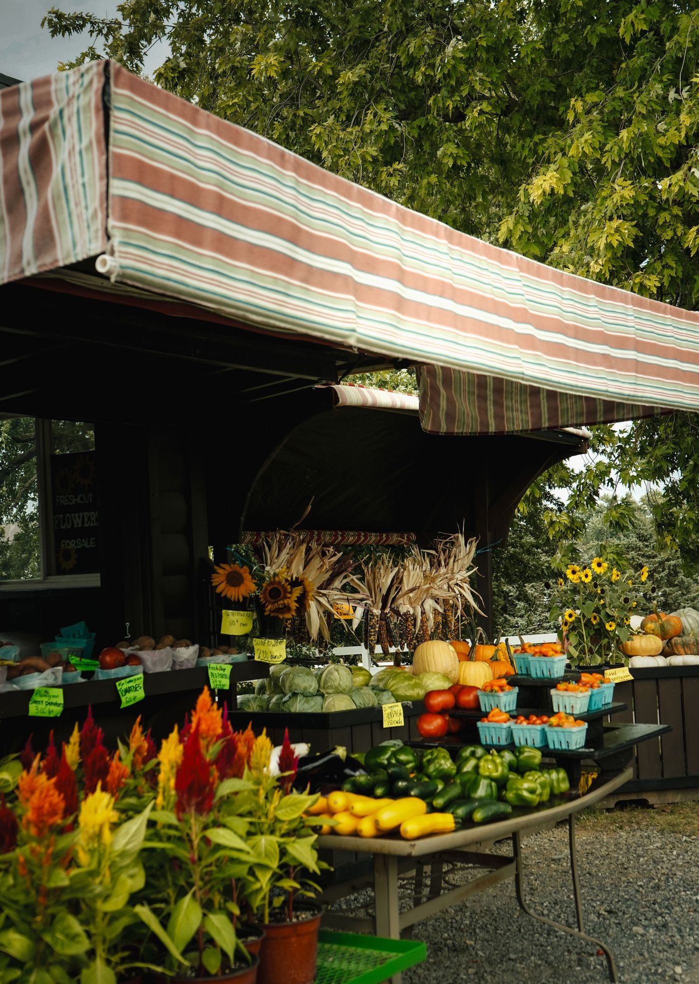 A covered market stall with fresh produce on display